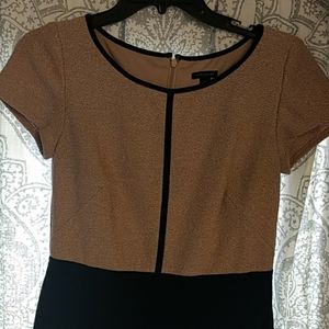 Ann Taylor Dress